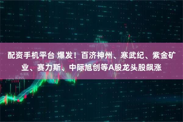 配资手机平台 爆发！百济神州、寒武纪、紫金矿业、赛力斯、中际旭创等A股龙头股飙涨