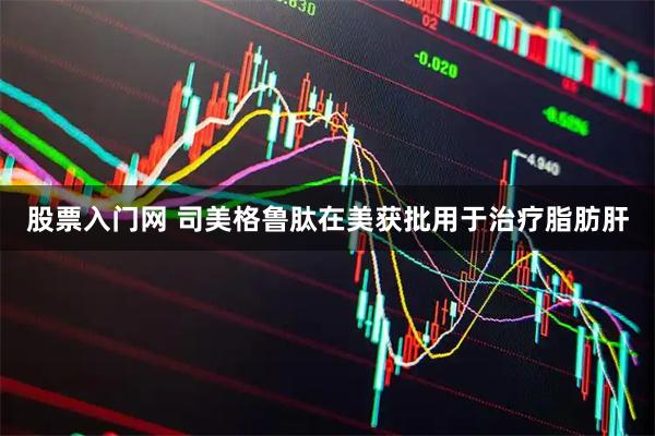 股票入门网 司美格鲁肽在美获批用于治疗脂肪肝