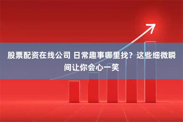 股票配资在线公司 日常趣事哪里找？这些细微瞬间让你会心一笑